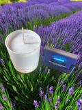 Lavender fields scented candle