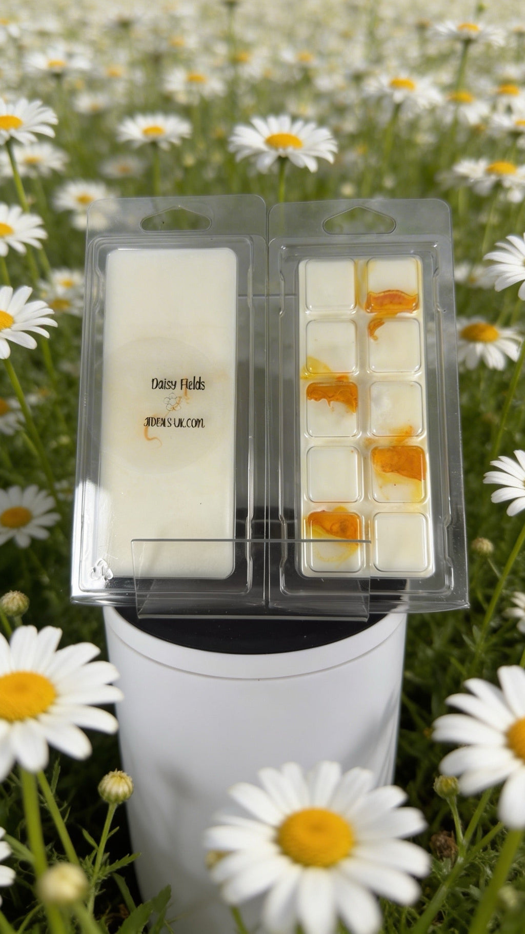 Daisy Blossom Snap Bar Wax Melt – Soya Wax