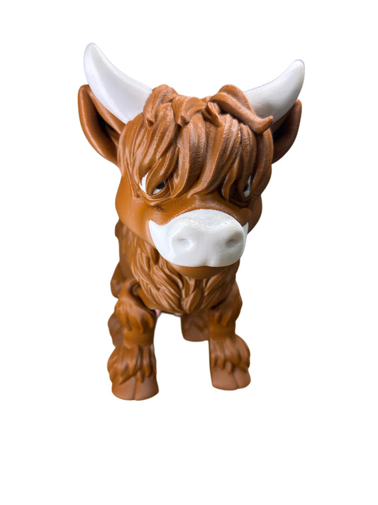 Highland Cow