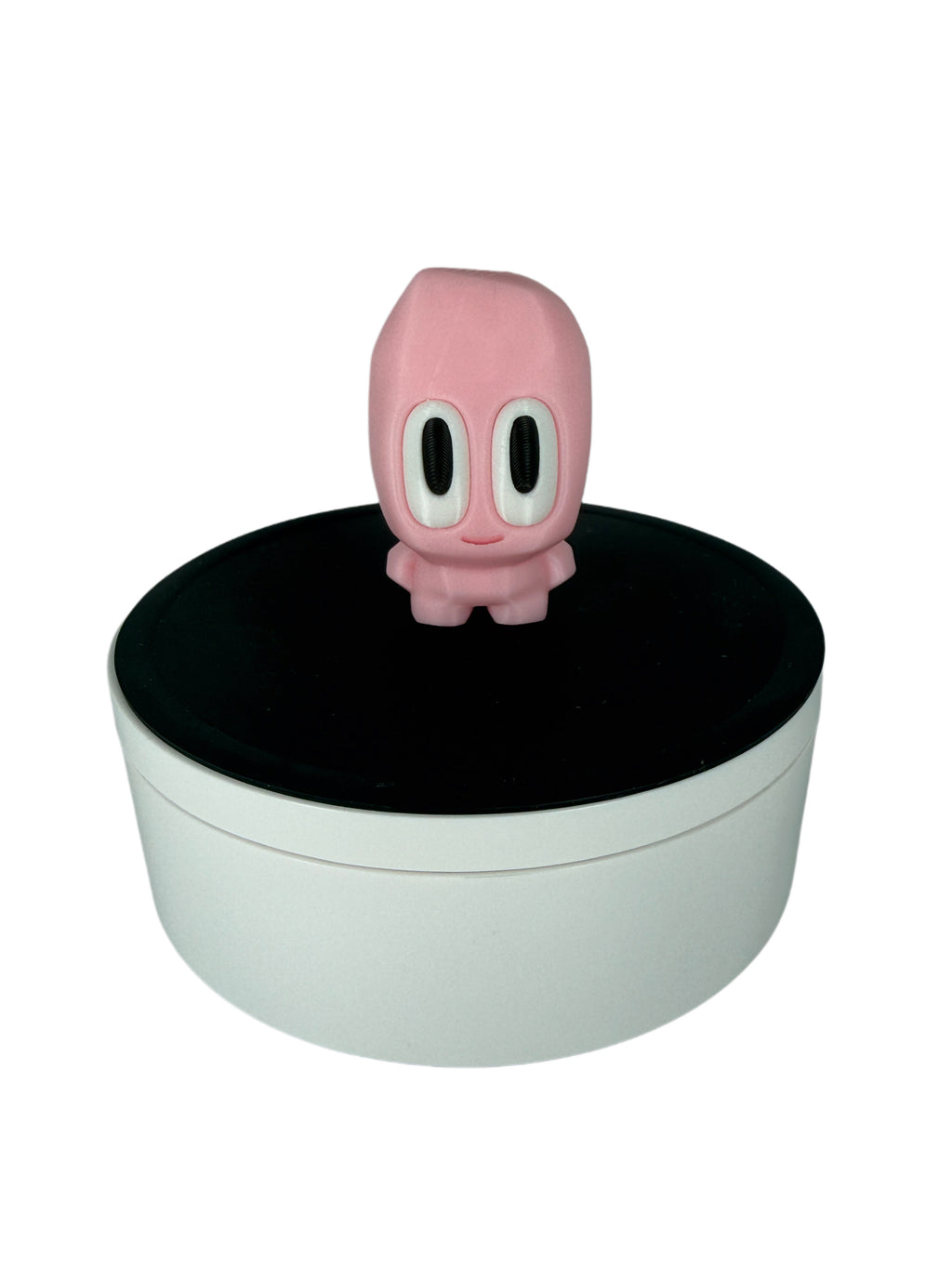 3D Printed Blob Rocks Collection – Monthly Colour Series with Carry Case Storage Box