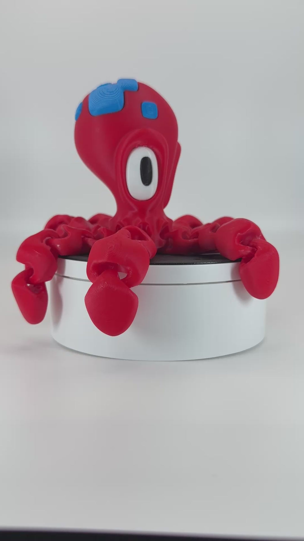 Articulated Octopus - Available in 2 colours